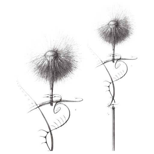 / Geisha Balls 2 - variálható gésagolyó szett (pink-fehér)