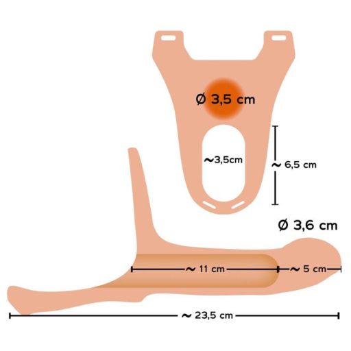 You2Toys - Strap-on - felcsatolható, üreges dildó közepes - natúr