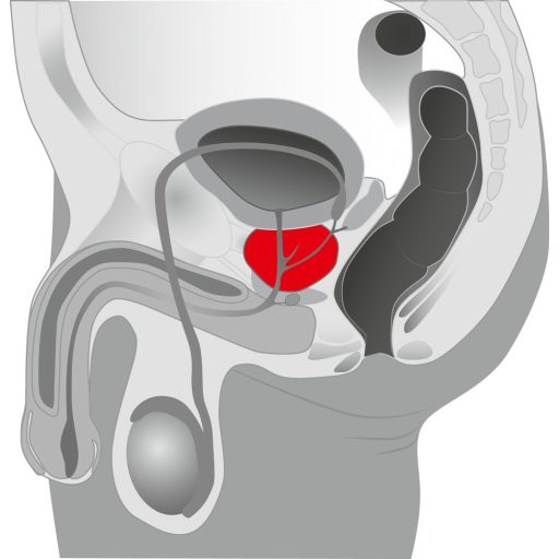 You2Toys - Prostate massager - forgó prosztatavibrátor fekete