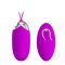 Pretty Love - Berger Távirányítható Újratölthető USB-s vibrációs tojás 12 féle vibrációval (Pink)