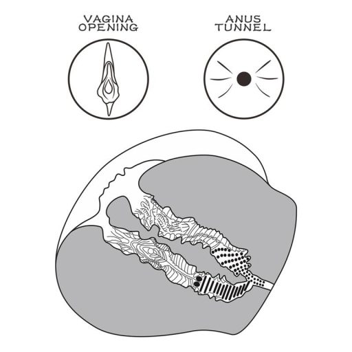 Lovetoy Streetgirl's 12 - művagina torzó és tanga (sötét natúr)