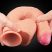 Lovetoy Nature Cock - kétrétegű élethű dildó - 28cm (natúr)
