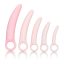 CalExotics Inspire - egészségügyi hüvely tágító szett (pink)